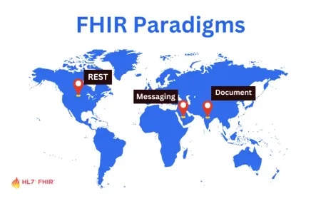 Exploring FHIR Paradigms: Case Studies Across the Globe