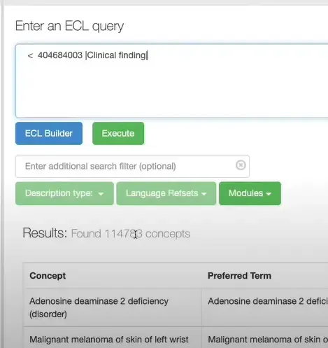 Executing Expression Constraint Language (ECL)

