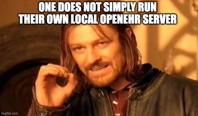 We'll help you build a local openEHR Server