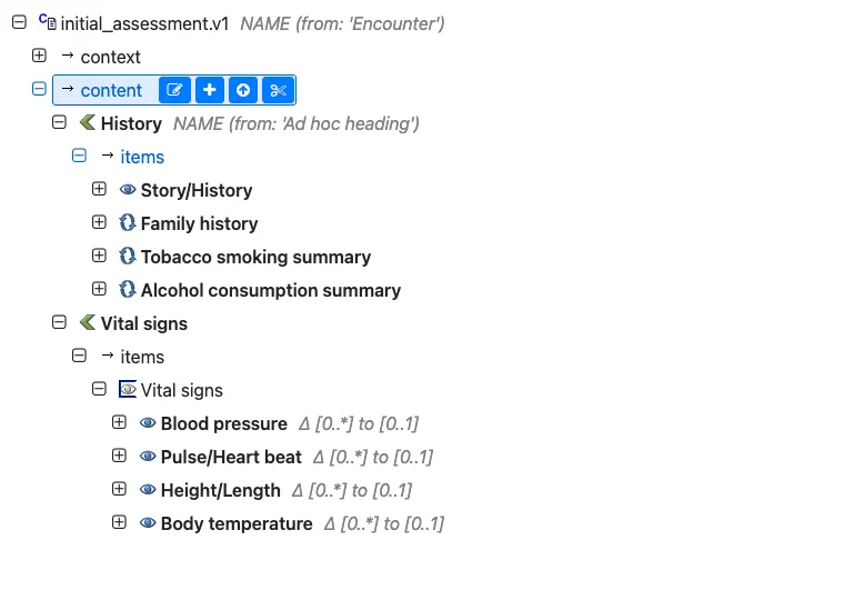 Initial Clinical Assessment template with visual organization