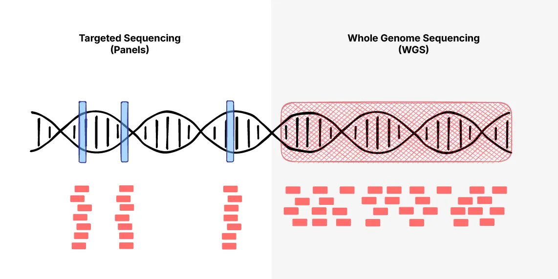 Targeted vs Whole Genome Sequencing