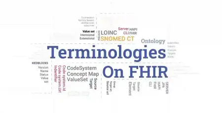 What is a FHIR Terminology Service?