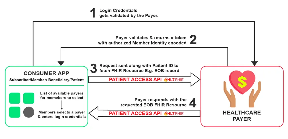 patient access api implementation workflow