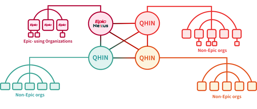 The Epic Nexus QHIN connected through TEFCA to other QHINs and the organizations beneath them
